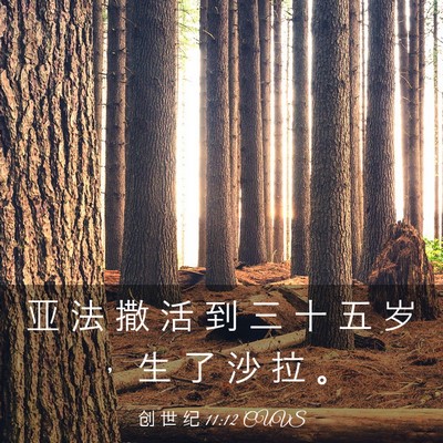 Picture 03 - 创 世 纪 11:12 CUVS - 亚 法 撒 活 到 三 十 五 岁 ， 生 了 - Bible Verse Picture