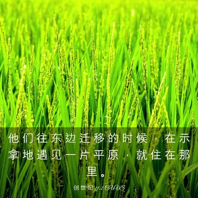 Picture 03 - 创 世 纪 11:2 CUVS - 他 们 往 东 边 迁 移 的 时 候 ， 在 - Bible Verse Picture