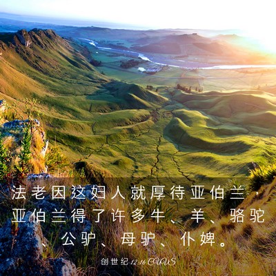 Picture 03 - 创 世 纪 12:16 CUVS - 法 老 因 这 妇 人 就 厚 待 亚 伯 兰 - Bible Verse Picture