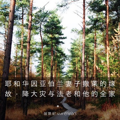 Picture 03 - 创 世 纪 12:17 CUVS - 耶 和 华 因 亚 伯 兰 妻 子 撒 莱 的 - Bible Verse Picture