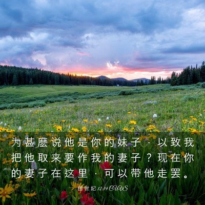 Picture 03 - 创 世 纪 12:19 CUVS - 为 甚 麽 说 他 是 你 的 妹 子 ， 以 - Bible Verse Picture
