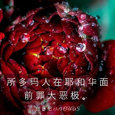 Picture 03 - 创 世 纪 13:13 CUVS - 所 多 玛 人 在 耶 和 华 面 前 罪 大 - Bible Verse Picture