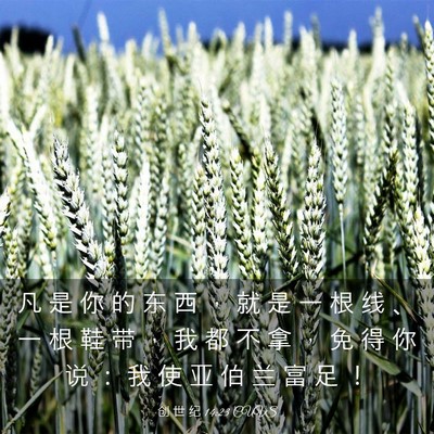 Picture 03 - 创 世 纪 14:23 CUVS - 凡 是 你 的 东 西 ， 就 是 一 根 线 - Bible Verse Picture