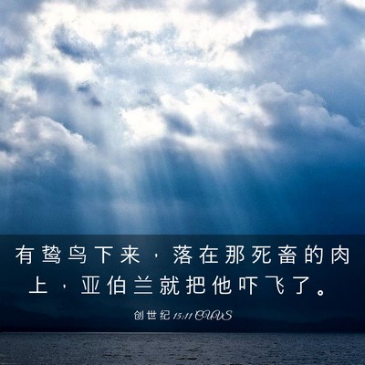 Picture 03 - 创 世 纪 15:11 CUVS - 有 鸷 鸟 下 来 ， 落 在 那 死 畜 的 - Bible Verse Picture