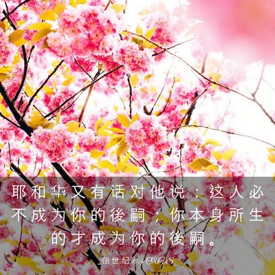 Picture 03 - 创 世 纪 15:4 CUVS - 耶 和 华 又 有 话 对 他 说 ： 这 人 - Bible Verse Picture
