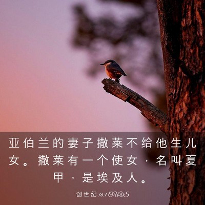 Picture 03 - 创 世 纪 16:1 CUVS - 亚 伯 兰 的 妻 子 撒 莱 不 给 他 生 - Bible Verse Picture
