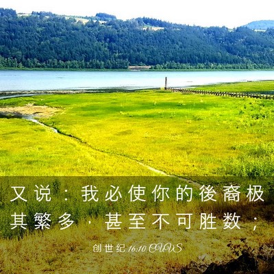 Picture 03 - 创 世 纪 16:10 CUVS - 又 说 ： 我 必 使 你 的 後 裔 极 其 - Bible Verse Picture