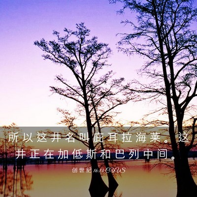 Picture 03 - 创 世 纪 16:14 CUVS - 所 以 这 井 名 叫 庇 耳 拉 海 莱 。 - Bible Verse Picture