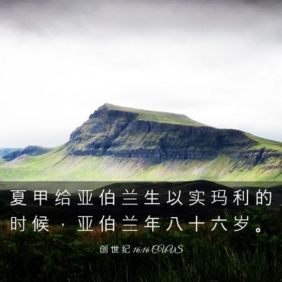 Picture 03 - 创 世 纪 16:16 CUVS - 夏 甲 给 亚 伯 兰 生 以 实 玛 利 的 - Bible Verse Picture