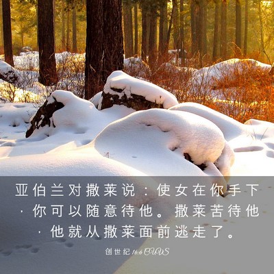 Picture 03 - 创 世 纪 16:6 CUVS - 亚 伯 兰 对 撒 莱 说 ： 使 女 在 你 - Bible Verse Picture