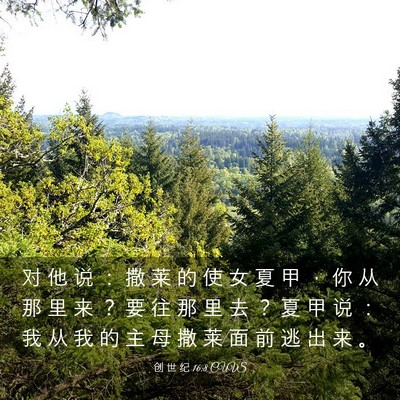 Picture 03 - 创 世 纪 16:8 CUVS - 对 他 说 ： 撒 莱 的 使 女 夏 甲 ， - Bible Verse Picture