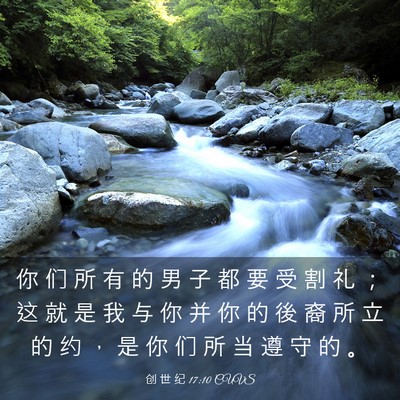 Picture 03 - 创 世 纪 17:10 CUVS - 你 们 所 有 的 男 子 都 要 受 割 礼 - Bible Verse Picture