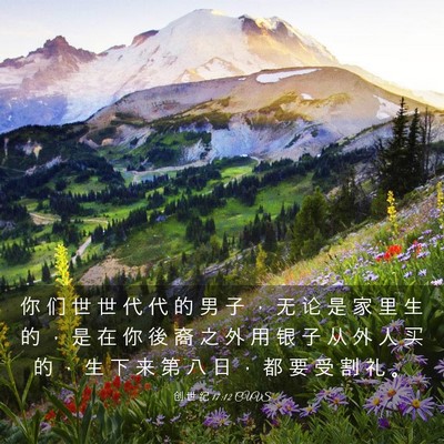 Picture 03 - 创 世 纪 17:12 CUVS - 你 们 世 世 代 代 的 男 子 ， 无 论 - Bible Verse Picture