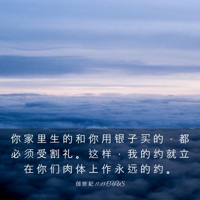 Picture 03 - 创 世 纪 17:13 CUVS - 你 家 里 生 的 和 你 用 银 子 买 的 - Bible Verse Picture