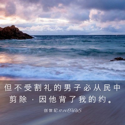 Picture 03 - 创 世 纪 17:14 CUVS - 但 不 受 割 礼 的 男 子 必 从 民 中 - Bible Verse Picture