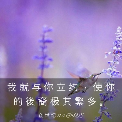 Picture 03 - 创 世 纪 17:2 CUVS - 我 就 与 你 立 约 ， 使 你 的 後 裔 - Bible Verse Picture