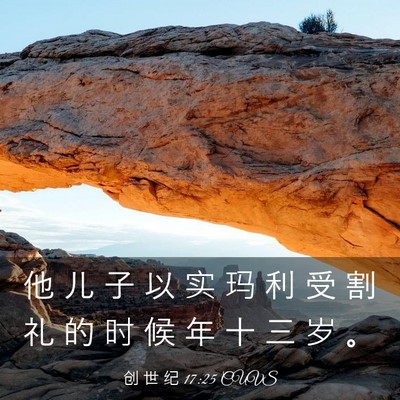Picture 03 - 创 世 纪 17:25 CUVS - 他 儿 子 以 实 玛 利 受 割 礼 的 时 - Bible Verse Picture