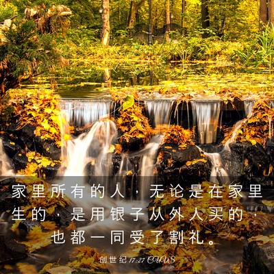 Picture 03 - 创 世 纪 17:27 CUVS - 家 里 所 有 的 人 ， 无 论 是 在 家 - Bible Verse Picture