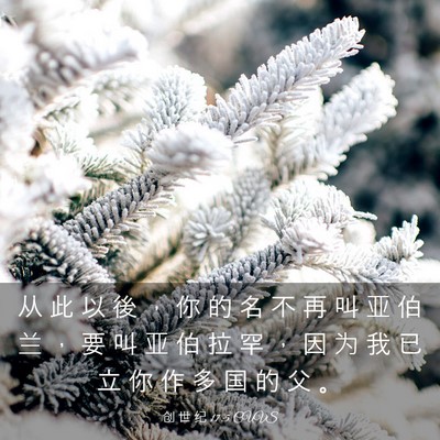 Picture 03 - 创 世 纪 17:5 CUVS - 从 此 以 後 ， 你 的 名 不 再 叫 亚 - Bible Verse Picture