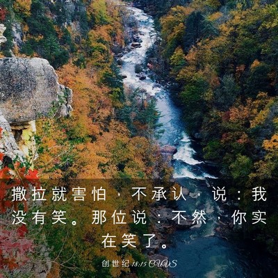Picture 03 - 创 世 纪 18:15 CUVS - 撒 拉 就 害 怕 ， 不 承 认 ， 说 ： - Bible Verse Picture