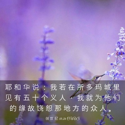 Picture 03 - 创 世 纪 18:26 CUVS - 耶 和 华 说 ： 我 若 在 所 多 玛 城 - Bible Verse Picture