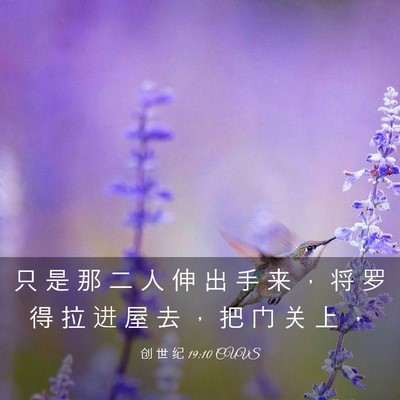 Picture 03 - 创 世 纪 19:10 CUVS - 只 是 那 二 人 伸 出 手 来 ， 将 罗 - Bible Verse Picture