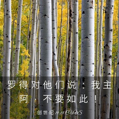 Picture 03 - 创 世 纪 19:18 CUVS - 罗 得 对 他 们 说 ： 我 主 阿 ， 不 - Bible Verse Picture