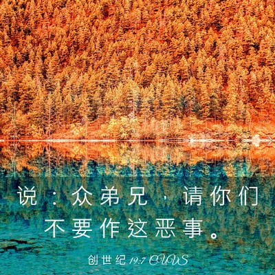 Picture 03 - 创 世 纪 19:7 CUVS - 说 ： 众 弟 兄 ， 请 你 们 不 要 作 - Bible Verse Picture