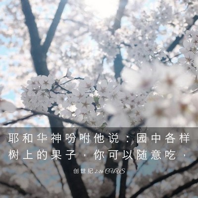 Picture 03 - 创 世 纪 2:16 CUVS - 耶 和 华 神 吩 咐 他 说 ： 园 中 各 - Bible Verse Picture