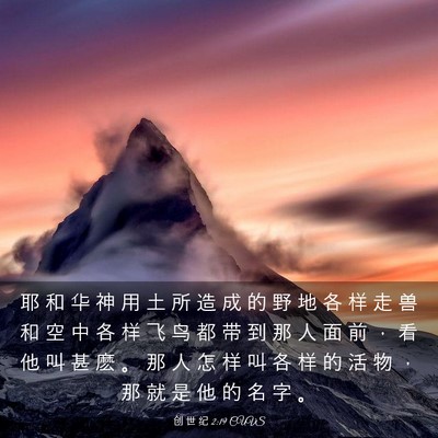 Picture 03 - 创 世 纪 2:19 CUVS - 耶 和 华 神 用 土 所 造 成 的 野 地 - Bible Verse Picture