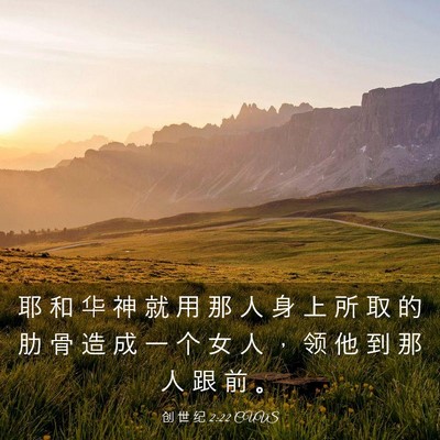 Picture 03 - 创 世 纪 2:22 CUVS - 耶 和 华 神 就 用 那 人 身 上 所 取 - Bible Verse Picture