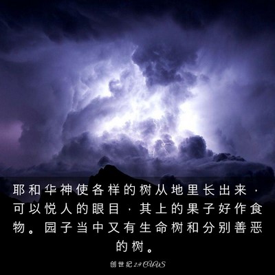Picture 03 - 创 世 纪 2:9 CUVS - 耶 和 华 神 使 各 样 的 树 从 地 里 - Bible Verse Picture