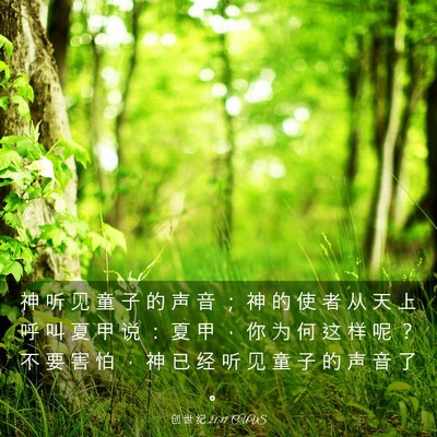 Picture 03 - 创 世 纪 21:17 CUVS - 神 听 见 童 子 的 声 音 ； 神 的 使 - Bible Verse Picture