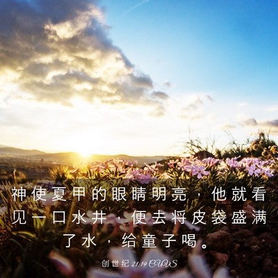 Picture 03 - 创 世 纪 21:19 CUVS - 神 使 夏 甲 的 眼 睛 明 亮 ， 他 就 - Bible Verse Picture