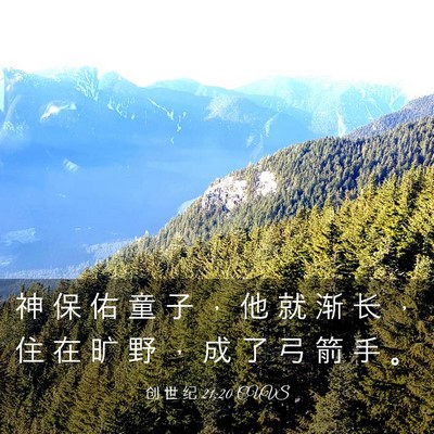 Picture 03 - 创 世 纪 21:20 CUVS - 神 保 佑 童 子 ， 他 就 渐 长 ， 住 - Bible Verse Picture
