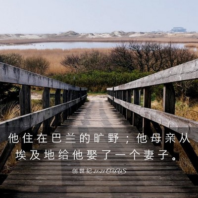 Picture 03 - 创 世 纪 21:21 CUVS - 他 住 在 巴 兰 的 旷 野 ； 他 母 亲 - Bible Verse Picture