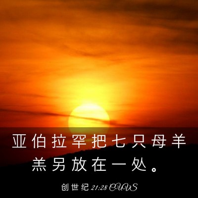 Picture 03 - 创 世 纪 21:28 CUVS - 亚 伯 拉 罕 把 七 只 母 羊 羔 另 放 - Bible Verse Picture