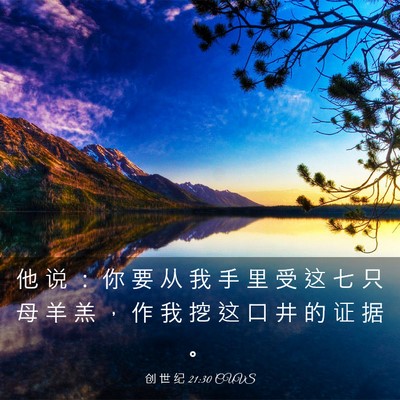 Picture 03 - 创 世 纪 21:30 CUVS - 他 说 ： 你 要 从 我 手 里 受 这 七 - Bible Verse Picture