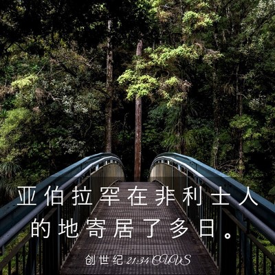 Picture 03 - 创 世 纪 21:34 CUVS - 亚 伯 拉 罕 在 非 利 士 人 的 地 寄 - Bible Verse Picture