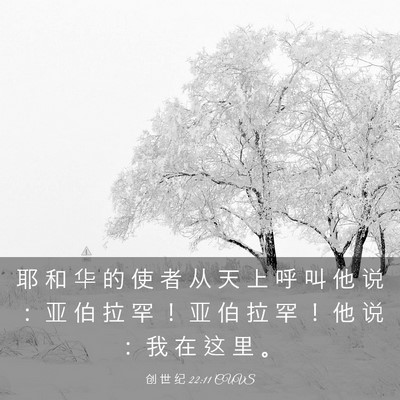 Picture 03 - 创 世 纪 22:11 CUVS - 耶 和 华 的 使 者 从 天 上 呼 叫 他 - Bible Verse Picture