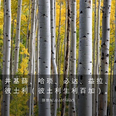 Picture 03 - 创 世 纪 22:22 CUVS - 并 基 薛 、 哈 琐 、 必 达 、 益 拉 - Bible Verse Picture