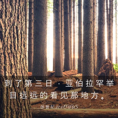 Picture 03 - 创 世 纪 22:4 CUVS - 到 了 第 三 日 ， 亚 伯 拉 罕 举 目 - Bible Verse Picture