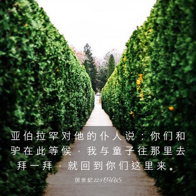 Picture 03 - 创 世 纪 22:5 CUVS - 亚 伯 拉 罕 对 他 的 仆 人 说 ： 你 - Bible Verse Picture
