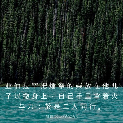 Picture 03 - 创 世 纪 22:6 CUVS - 亚 伯 拉 罕 把 燔 祭 的 柴 放 在 他 - Bible Verse Picture