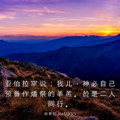 Picture 03 - 创 世 纪 22:8 CUVS - 亚 伯 拉 罕 说 ： 我 儿 ， 神 必 自 - Bible Verse Picture