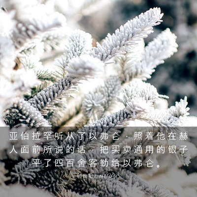 Picture 03 - 创 世 纪 23:16 CUVS - 亚 伯 拉 罕 听 从 了 以 弗 仑 ， 照 - Bible Verse Picture