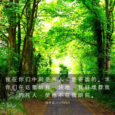Picture 03 - 创 世 纪 23:4 CUVS - 我 在 你 们 中 间 是 外 人 ， 是 寄 - Bible Verse Picture