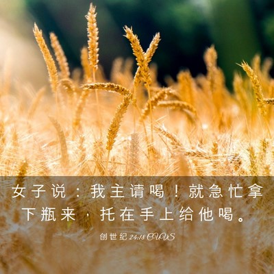 Picture 03 - 创 世 纪 24:18 CUVS - 女 子 说 ： 我 主 请 喝 ！ 就 急 忙 - Bible Verse Picture