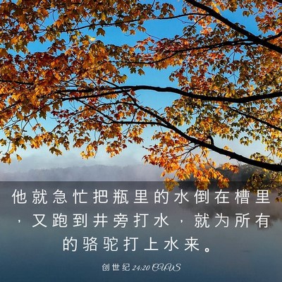 Picture 03 - 创 世 纪 24:20 CUVS - 他 就 急 忙 把 瓶 里 的 水 倒 在 槽 - Bible Verse Picture