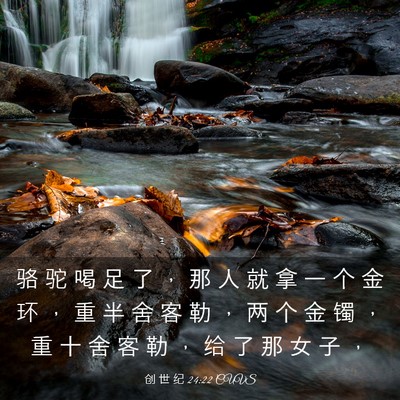 Picture 03 - 创 世 纪 24:22 CUVS - 骆 驼 喝 足 了 ， 那 人 就 拿 一 个 - Bible Verse Picture